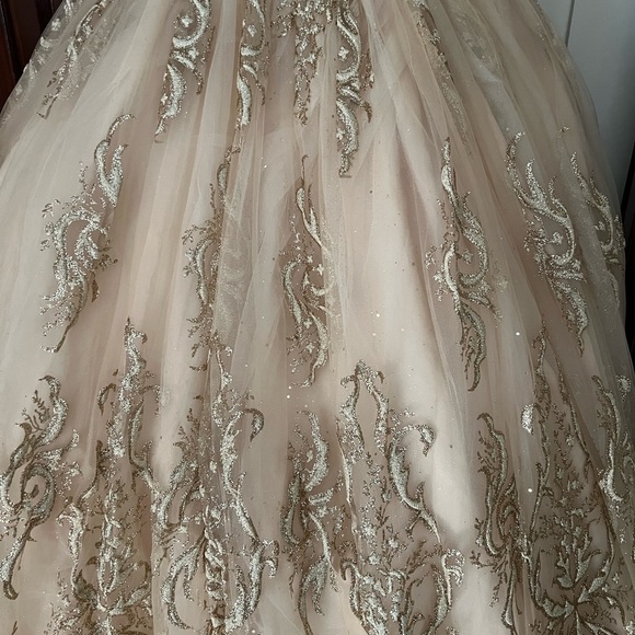 Prom Gown, Quinceañera Gown, Wedding Gown, Cosplay Gown or Ball Gown - Picture 9 of 14